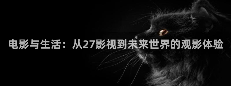 玫瑰之战电视剧免费观看西瓜影院